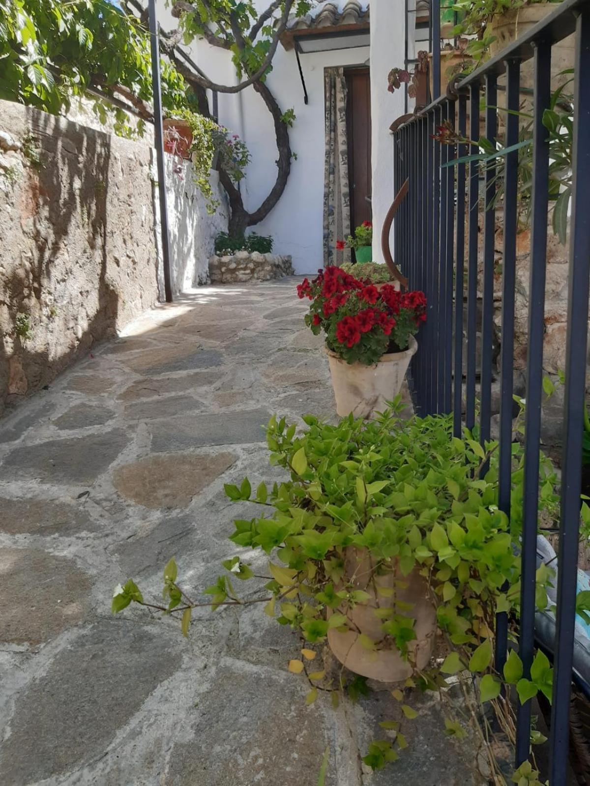 La Posada Amena Carcabuey Bagian luar foto